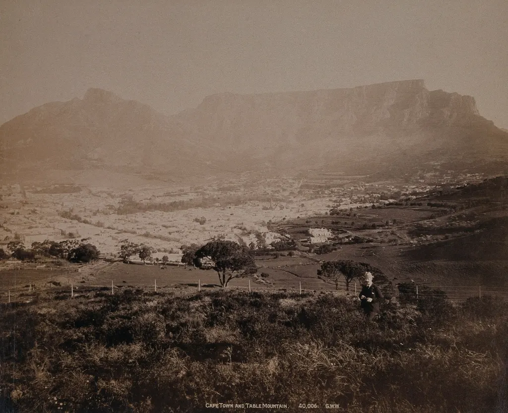 Cape Town