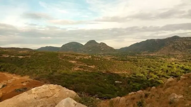 No 9. Horsley Hills | Located 157 km from Bengaluru, this resort town in Andhra Pradesh's Chittoor district boasts lush greenery during the monsoon. Its diverse flora and fauna offer an exhilarating experience for visitors.