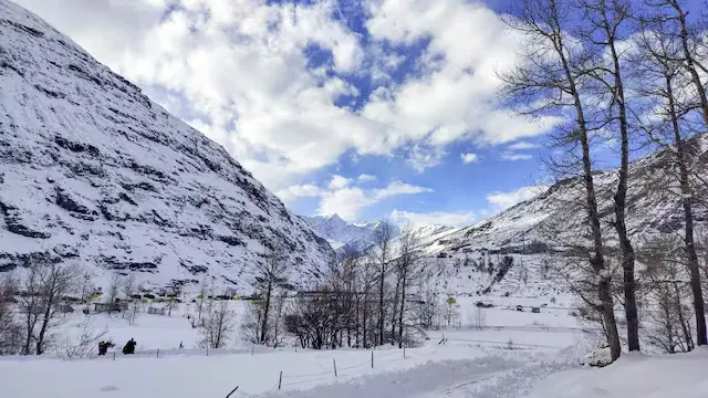 snow, kashmir, rains, heavy downpour, srinagar, snowfall