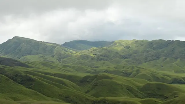 Dzukou Valley Valley of Flowers East Nagaland Manipur border Dzukou lily bloom rolling hills Dzukou green hills Nagaland cold streams Dzukou