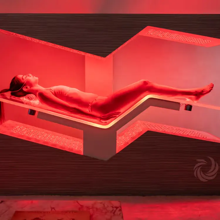 Ammortal chamber