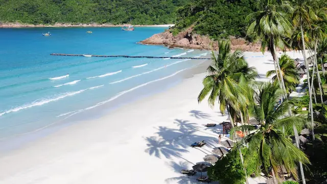 Ecuador & Galápagos - Those traveling to Ecuador, particularly the Galápagos Islands, are highly encouraged or sometimes mandated to have travel medical insurance. Given the islands' isolation, emergency evacuations can be prohibitively expensive, making insurance a vital resource for accessing necessary treatment or transport.