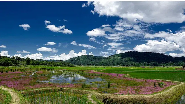 Ziro Valley Arunachal Pradesh lush forests Ziro pine groves Ziro Valley Talley Valley Wildlife Sanctuary Meghna Cave Temple Tarine Fish Farm scenic Ziro landscapes serene viewpoints Ziro Arunachal Pradesh countryside misty hills Ziro Valley trekking in Ziro