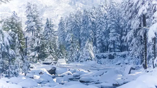 Paraglide among snow covered mountains in India: Kashmir set to attract adventure tourists