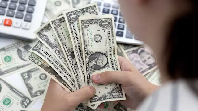 1) In 2024, India's Foreign Exchange Earnings (FEEs) from tourism reached $35.01 billion, marking an 8.78% increase from 2023, during which India earned $32.189 billion from foreign tourists. Significantly, India earned only $3.2 billion in FEEs in 2001.