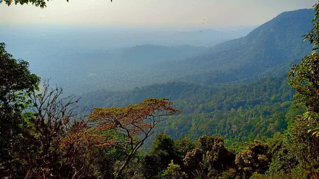 No 7. Agumbe | This village in the Shimoga district provides a perfect escape for city dwellers looking to step away from their routine. Approximately a 7.5-hour drive from Bengaluru, Agumbe's scenery includes rainforests and waterfalls. (Image: shutterstock)