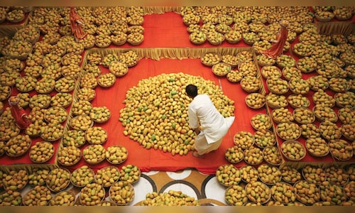 A historic 3,624 metric tonnes of mangoes shipped from Mumbai Airport to London and New York.