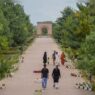 Domestic tourism in India on the rise as emerging travel companies seek opportunities for profit.