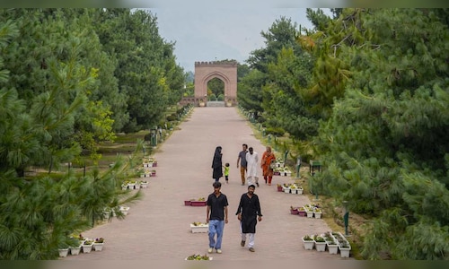 Domestic tourism in India on the rise as emerging travel companies seek opportunities for profit.
