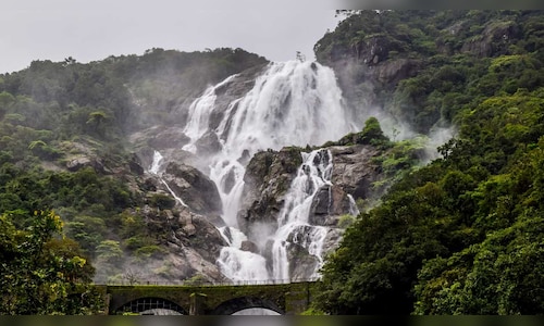 Goa's Monsoon Tourism: Waterfalls Managed by State Forest Development Corporation Welcoming Visitors