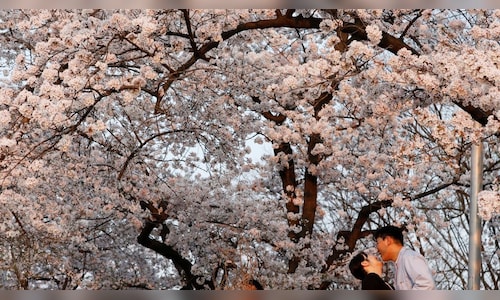 Indian families prefer snow to sand as winter travel overseas rises by 30%: Agoda