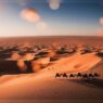 From Thrilling Dune Drives to Spectacular Stargazing: Must-Do Desert Adventures for an Unforgettable Getaway