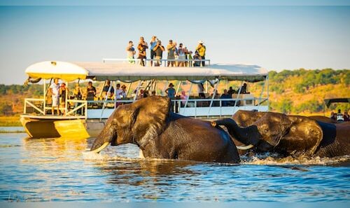 From the Serengeti to Ranthambore: 7 Must-Visit Wildlife Reserves Around the Globe This December