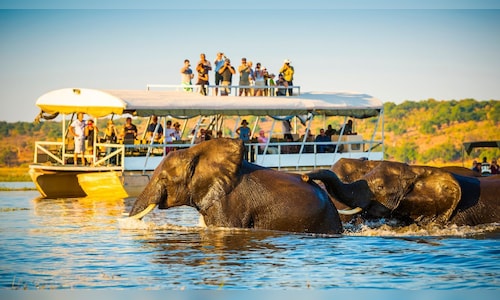 From the Serengeti to Ranthambore: 7 Must-Visit Wildlife Reserves Around the Globe This December