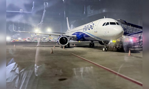 IndiGo reports approximately 117 flight cancellations at Mumbai airport by noon.