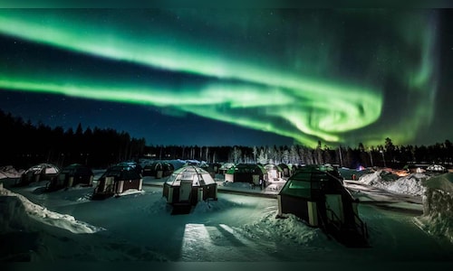 Now You Can Enjoy the Northern Lights on Norway's Scenic Night Train—Dog-Friendly Too!