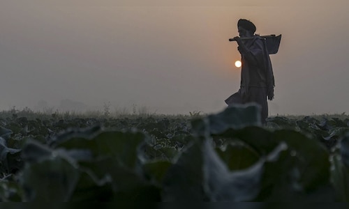 Weather Update: Reduced Visibility Leads to 60 Flight Cancellations in Delhi; Fog Expected to Continue in UP and MP
