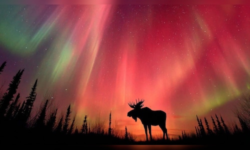 Auroras Illuminate the Sky Amidst Intense Solar Radiation Storm Striking Earth