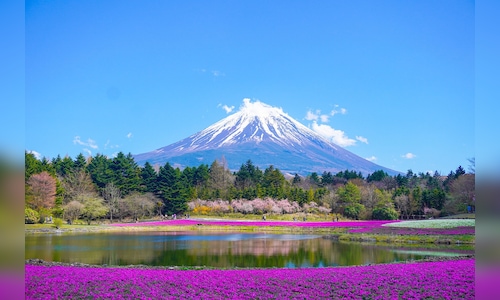 Chinese Tourist Numbers to Japan Drop 45% in December Due to Dispute