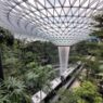 India ranks among the top five sources of passenger traffic for Singapore's Changi Airport.