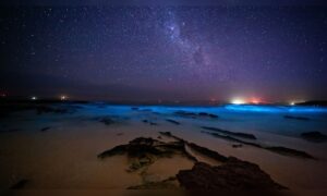 Plan Ahead: Best Monsoon Destinations in India Amid Global Travel Disruptions