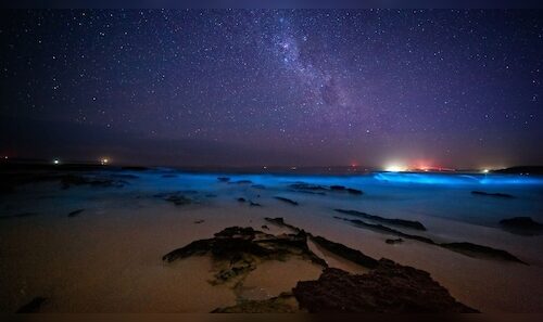 Plan Ahead: Best Monsoon Destinations in India Amid Global Travel Disruptions