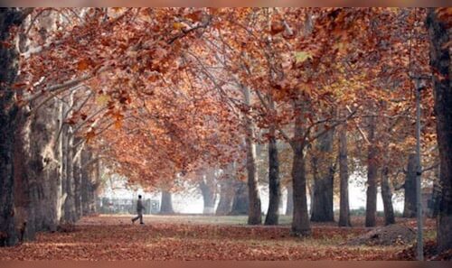 11:11 Weekend: Exploring Kashmir's Seasonal Journey, the Amarnath Yatra, Pet-Friendly Travel, and Mindful Eating