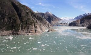 Alaska-bound cruise lines are steering clear of a favored tour to Tracy Arm following a significant landslide.