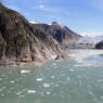 Alaska-bound cruise lines are steering clear of a favored tour to Tracy Arm following a significant landslide.