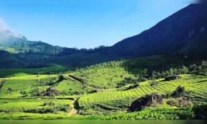 Exchange the hustle for tranquility: 7 hidden gems to explore this summer.