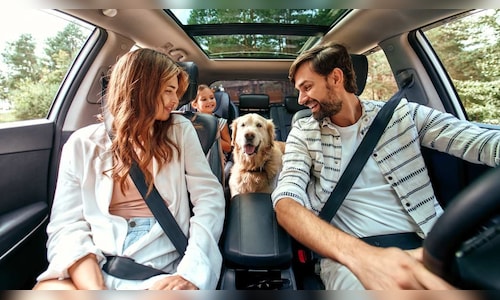 Pets are now organizing their journey in India.