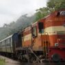 Railways to operate weekly summer routes linking Kerala and Bihar through Chennai and Coimbatore.