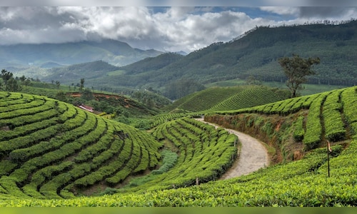 Indian Hotels Company Limited signs agreement for 55-room Tree of Life resort in Wayanad.
