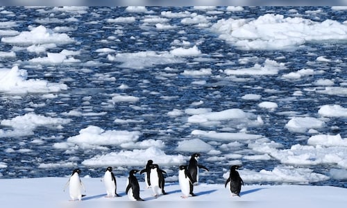 Surge in Antarctic Tourism Sparks Worries Over Pollution and Illness