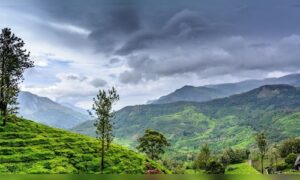 10 Enchanting Destinations in India to Explore During the Monsoon Season
