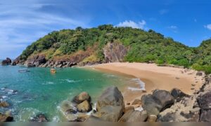 Escape the Crowds: 10 Serene Beaches in India You Should Explore