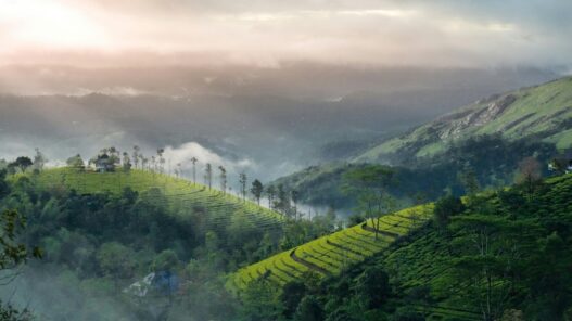From God's Own Country to a Tapestry of Diversity: 10 Indian States and the Titles that Capture Their Culture