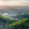 From God's Own Country to a Tapestry of Diversity: 10 Indian States and the Titles that Capture Their Culture