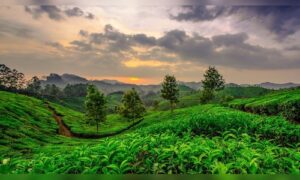 Kerala Allocates ₹325 Crore to Grant Industry Status to Tourism Sector