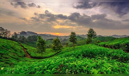 Kerala Allocates ₹325 Crore to Grant Industry Status to Tourism Sector