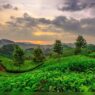 Kerala Allocates ₹325 Crore to Grant Industry Status to Tourism Sector