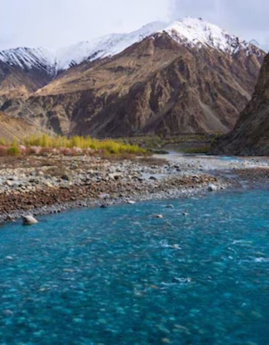 Ladakh fines four vehicles ₹2 lakh for unauthorized off-roading in protected wildlife zones.
