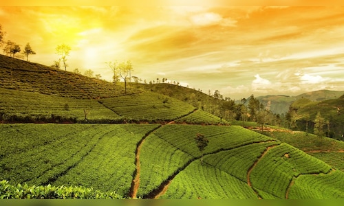 Misty Peaks and Verdant Views: Weekend Getaways from Kolkata