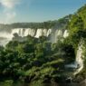 World Rainforest Day 2026: Ten Indian States Abundant in Biodiversity