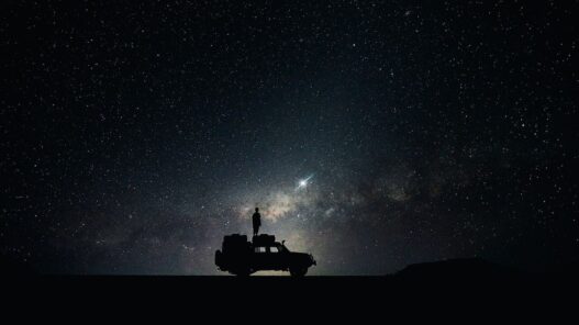 From Africa to Asia: 10 Exciting Nighttime Safaris Across the Globe