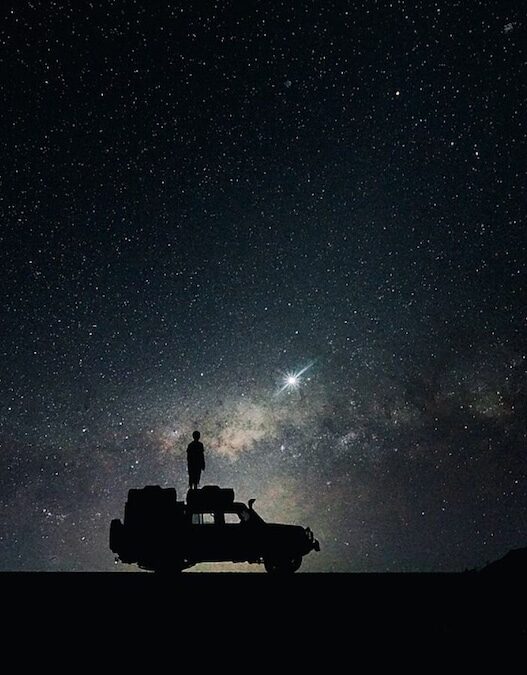 From Africa to Asia: 10 Exciting Nighttime Safaris Across the Globe