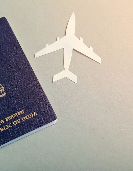 India Falls to 81st Place in Henley Passport Index, Dropping from 75th Earlier This Year