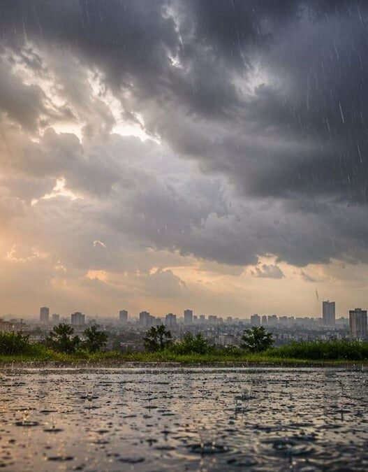 Top Monsoon Escapes Close to Bengaluru: Coorg, Wayanad, Chikmagalur, and Beyond