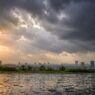 Top Monsoon Escapes Close to Bengaluru: Coorg, Wayanad, Chikmagalur, and Beyond