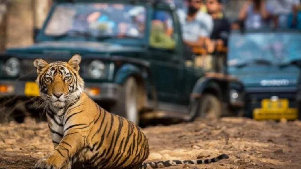 Top National Parks to Explore in Monsoon: 8 Wildlife Spots That Remain Accessible During Rainy Season